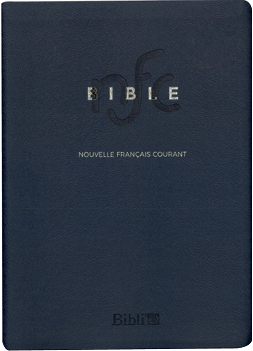 NOUVEAU FRANCAIS COURANT